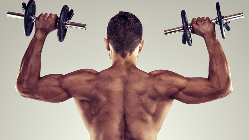 15-Minute Upper Back Workout with Dumbbells | Fitness Republic